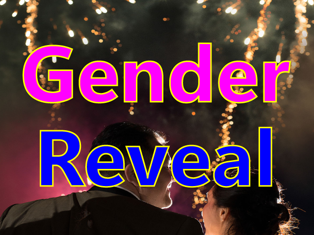 Gender Reveal Fireworks